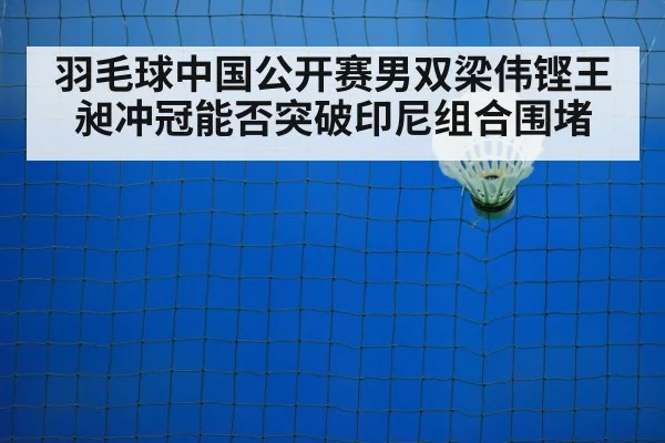 badminton net play closeup